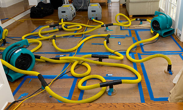 Professional Basement Flood Cleanup technician working in Howard Beach, NY